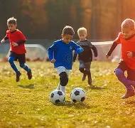 惊现球场后,惊魂一幕,曼联赛迷列,伟德体育,伟德体育官网,伟德体育平台,伟德体育官方网站