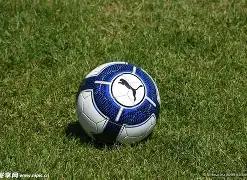 海牛球星兰,克尔泽发声,告别欠薪困,伟德体育,伟德体育官网,伟德体育平台,伟德体育官方网站