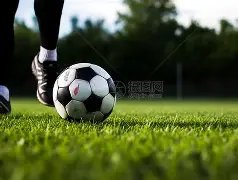 韦德体育,资讯,伟德体育,伟德体育,伟德体育官网,伟德体育平台,伟德体育官方网站