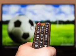 大乐透期号,专家推荐,领头羊主场,伟德体育,伟德体育官网,伟德体育平台,伟德体育官方网站