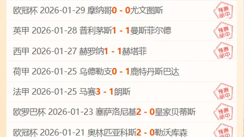 惠灵顿凤凰主场激战，9胜7负能否一跃成为关键赛点？