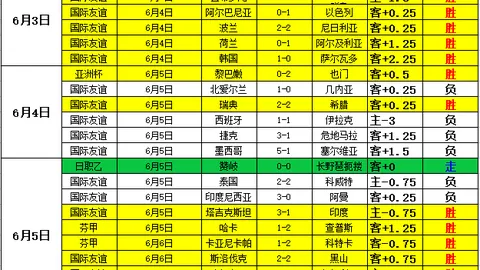 2026荷兰杯前瞻：中国足球小将0-1阿尔克马尔梯队，决赛门票争夺战激烈