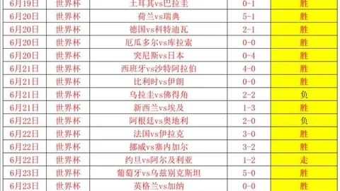 韦德体育 152336 1