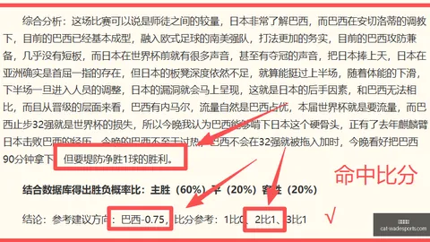 韦德体育，韦德体育优惠， 153203